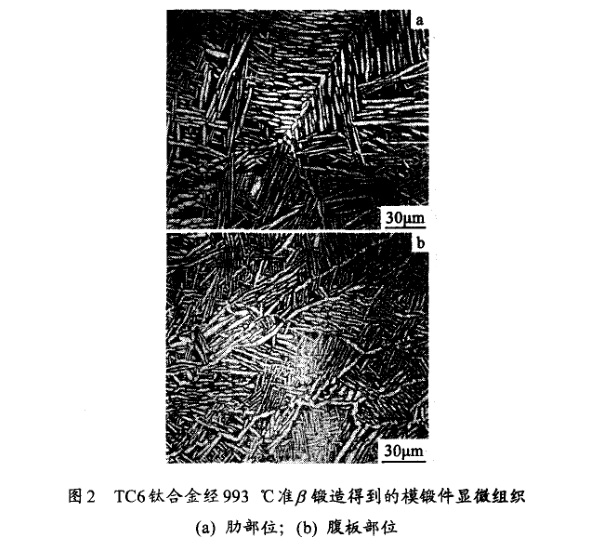 TC6鈦合金經(jīng)993℃準(zhǔn)β鍛造得到的模鍛件顯微組織(a) 肋部位；(b) 腹板部位