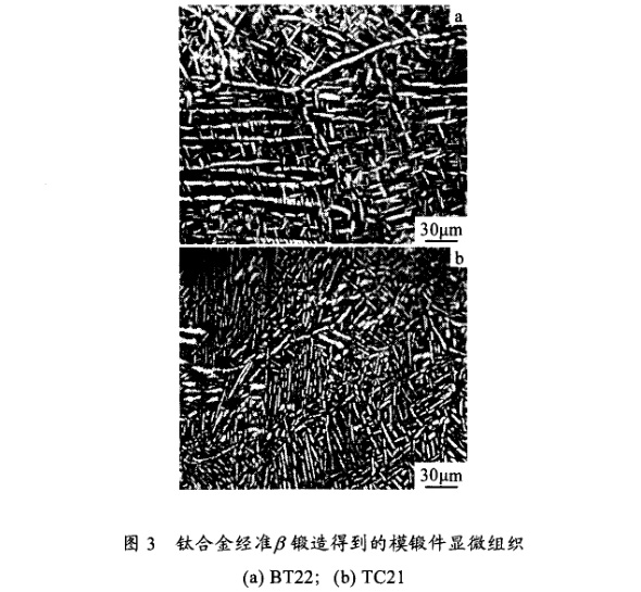 鈦合金準(zhǔn)β鍛造得到的模鍛件顯微組織