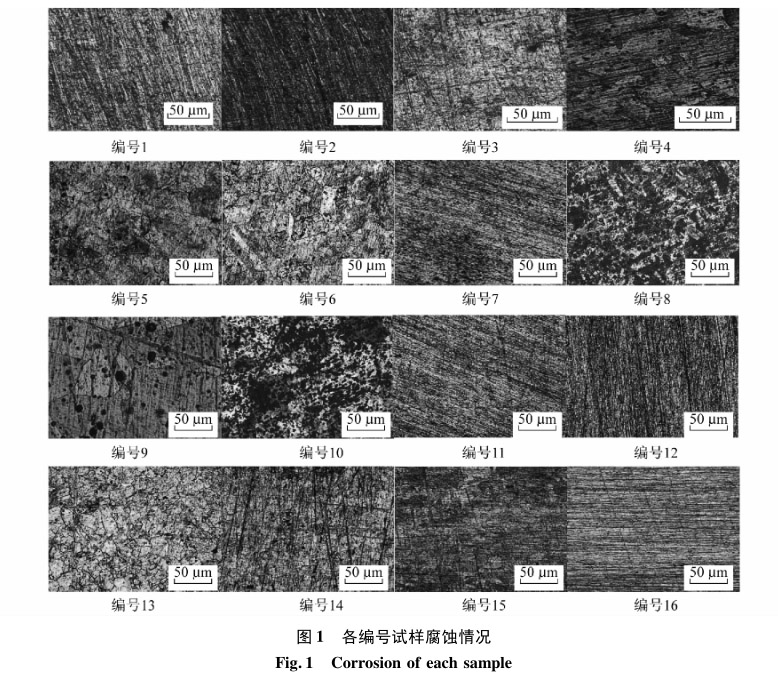 各編號(hào)試樣腐蝕情況
