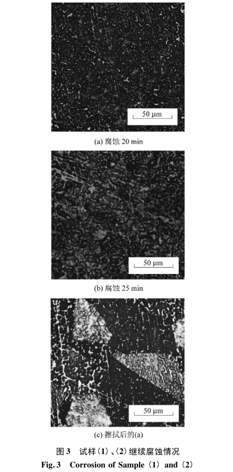 試樣(1)、(2)繼續(xù)腐蝕情況