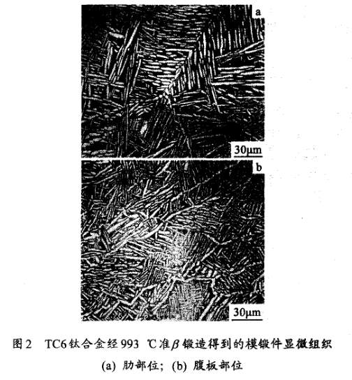 TC6鈦合金經(jīng)993 ℃準(zhǔn)鍛造得到的模鍛件顯微組織(a) 肋部位；(b) 腹板部位