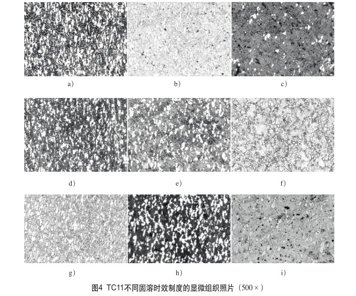 TC11不同固溶時效制度的顯微組織照片（500×）